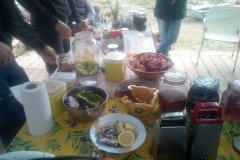 Nutrition / Nutrició / Nutrición
