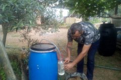 Biofertilisants / Biofertilitzants / Biofertilisantes