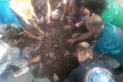 Microorganismes / Microorganismos