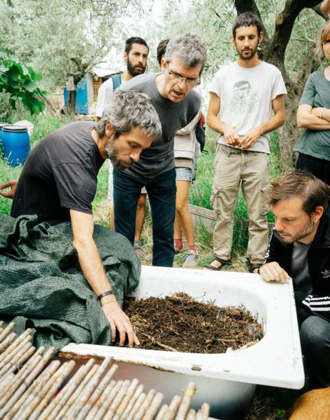 Vermicompost