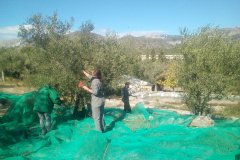 IMG_20201016_115015