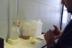 Test d'acidité