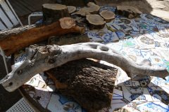trossets de poda d'oliveres