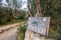 Permacultura Penyaflor