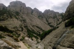 Arnes